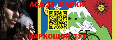 спиды Гай