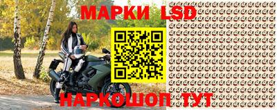 спиды Гай