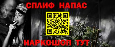 спиды Гай