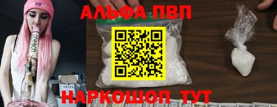 спиды Гай