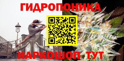 круглые Гатчина