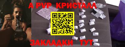 спиды Гай