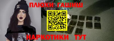 спиды Гай