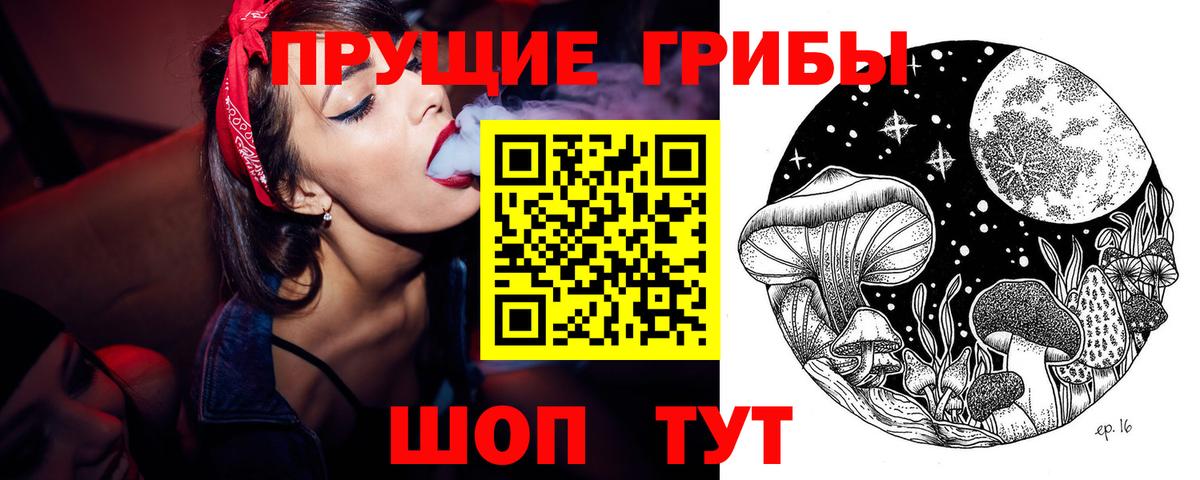 Прохладный  Галлюциногенные грибы прущие грибы  Вход с VPN 